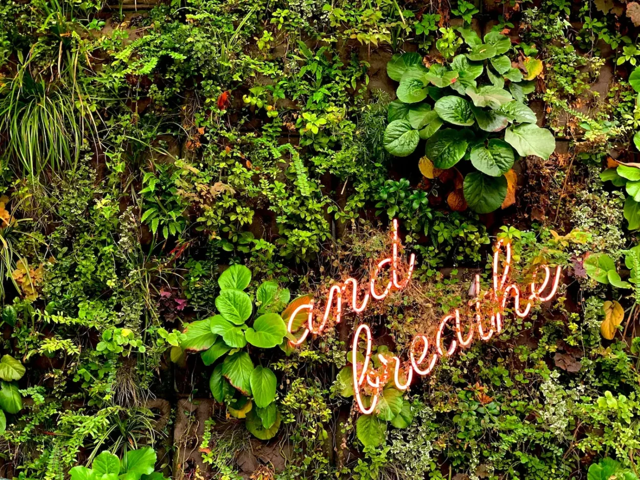 a green plant with a neon sign